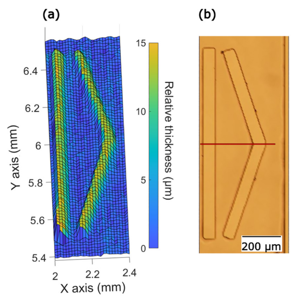 Microscopy data