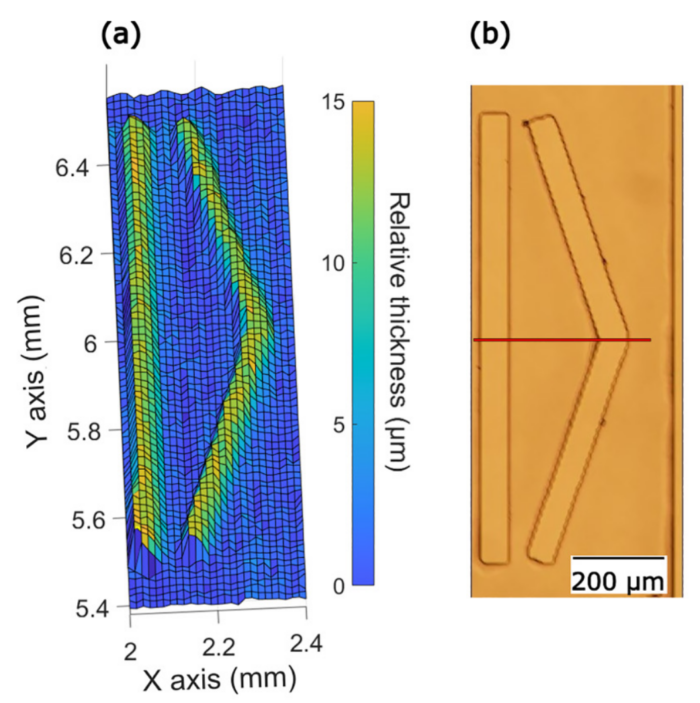 Microscopy data